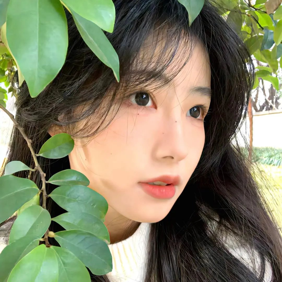 动画少儿